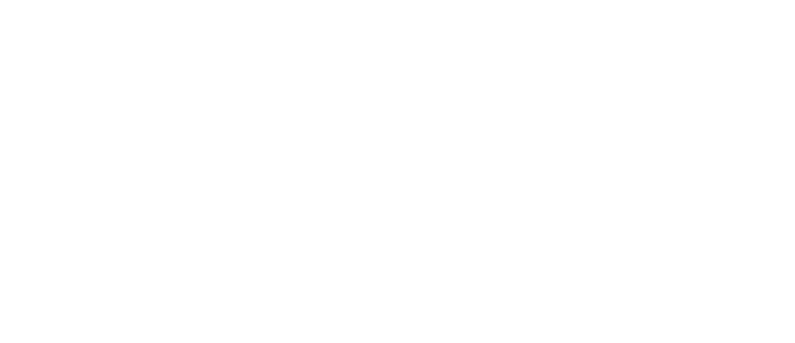 Demeo Realty Team_Logo_white